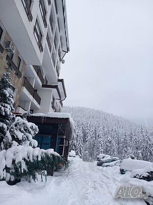 image_11