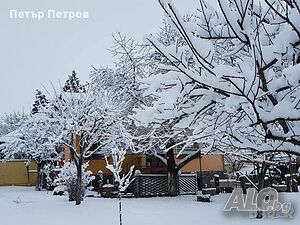 image_11