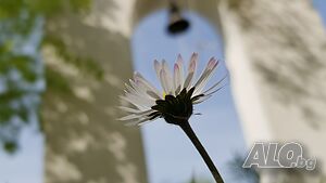 image_41
