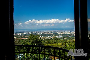 image_6