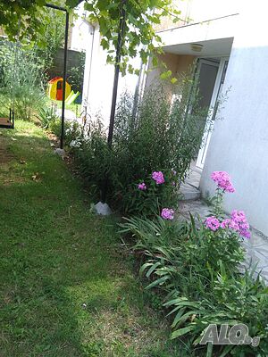 image_13