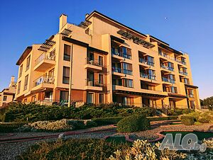 image_26