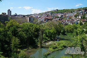 image_6