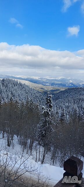 image_16
