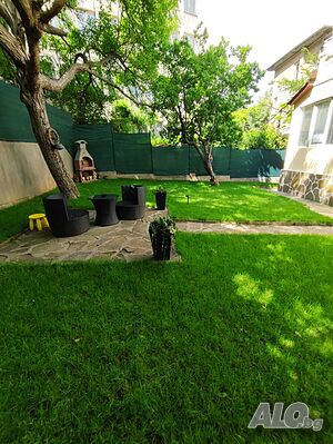 image_5