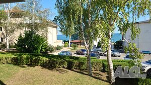 image_11