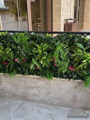 image_17