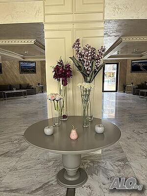 image_19