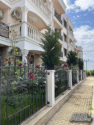 image_22