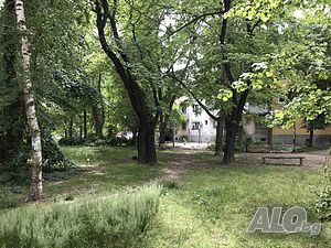 image_9
