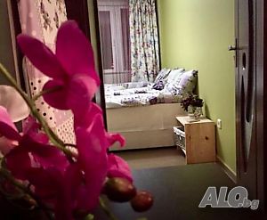image_6