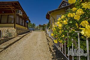 image_20