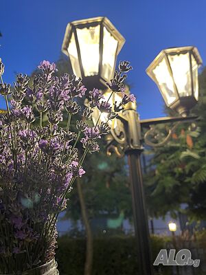 image_10