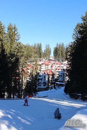 image_15