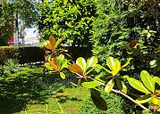 image_12
