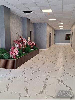 image_11
