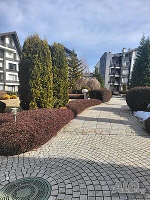 image_29