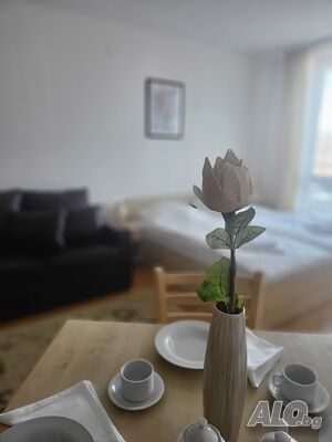 image_37