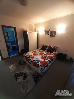 image_8