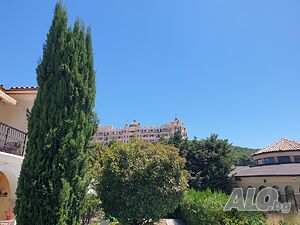 image_12