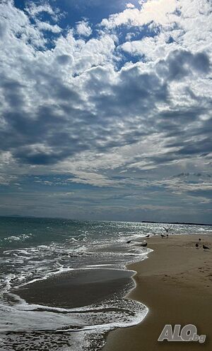 image_27
