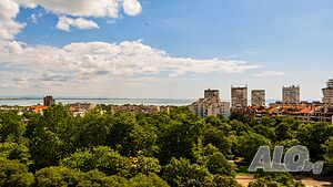 image_22