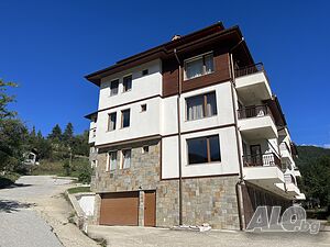 image_19