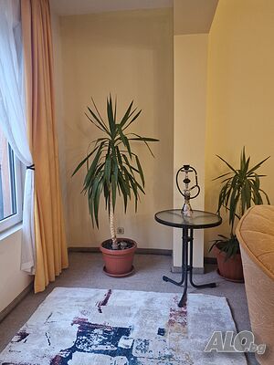 image_5