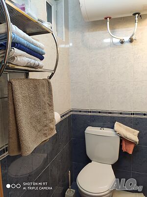 image_11