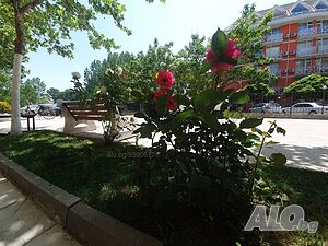 image_9