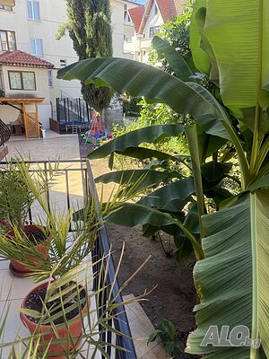 Стая под наем Почивка в къща за гости “Айсберг” в Равда