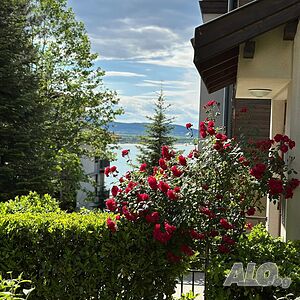 image_24