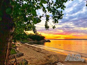image_49