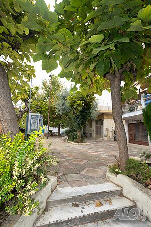 image_45