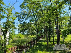 image_8