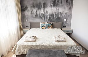 image_11