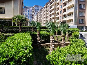 image_14