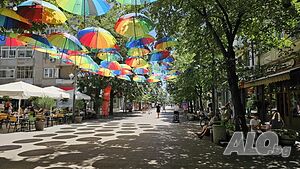 image_13