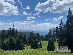 image_9
