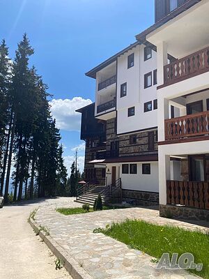 image_11