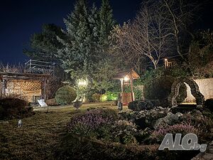 image_11
