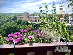 image_34
