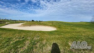 image_36