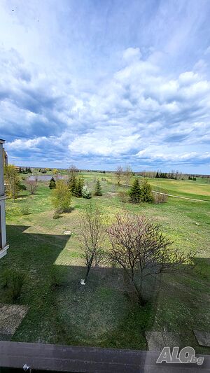 image_25