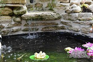 image_10