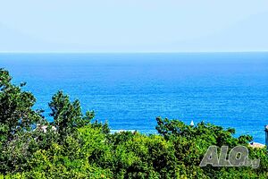 image_40