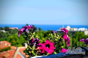 image_41