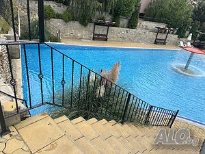 image_8