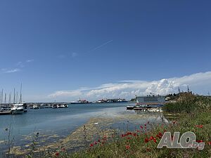 image_31