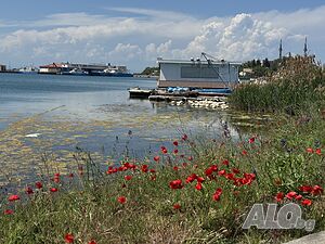 image_33